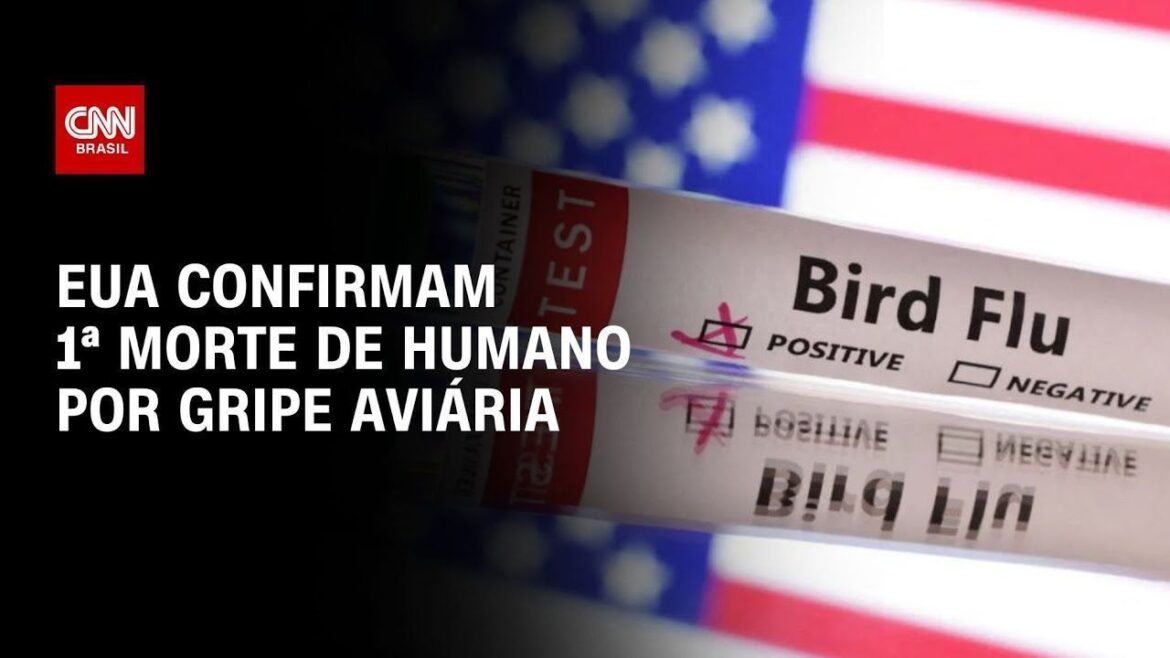 reino-unido-confirma-caso-de-gripe-aviaria-em-humano,-diz-agencia