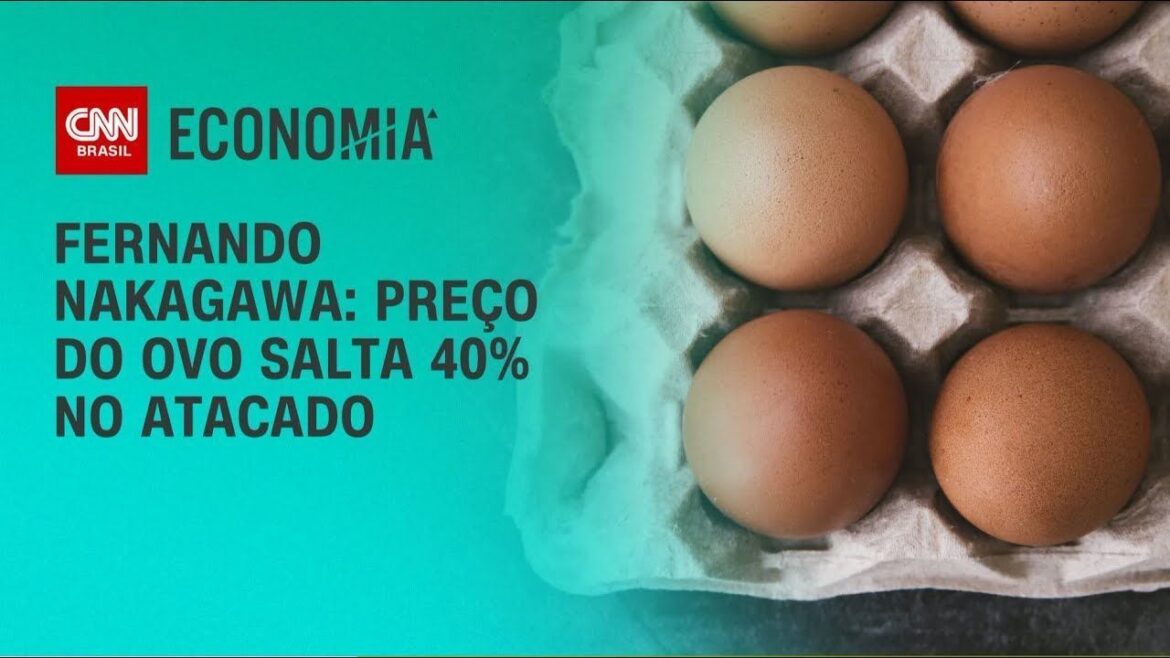 deputados-apresentam-projeto-para-suspender-carimbos-em-ovos