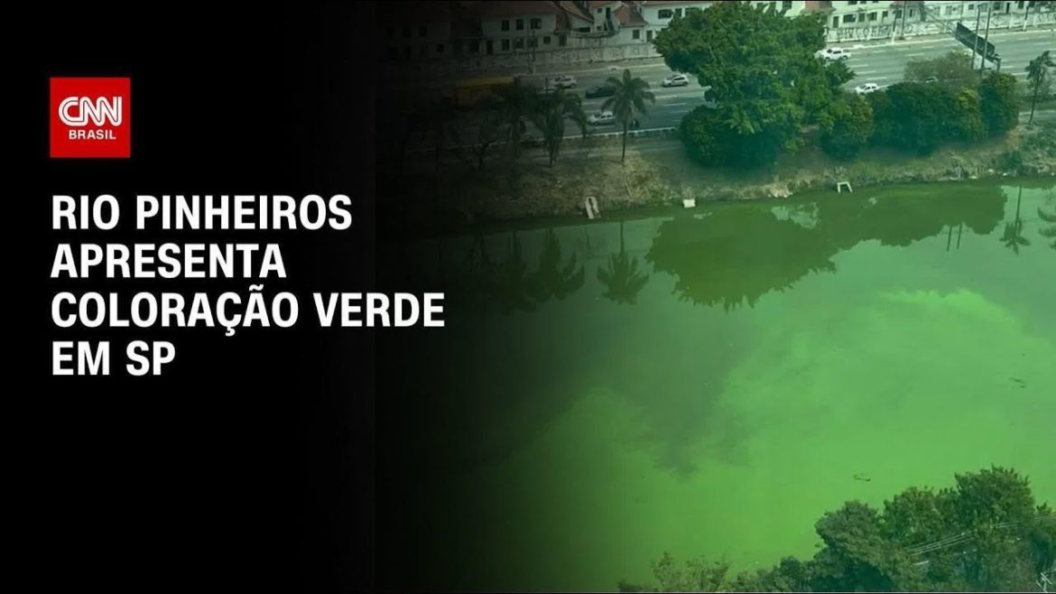 agua-de-rios-da-mata-atlantica-tem-piora-na-qualidade,-diz-estudo