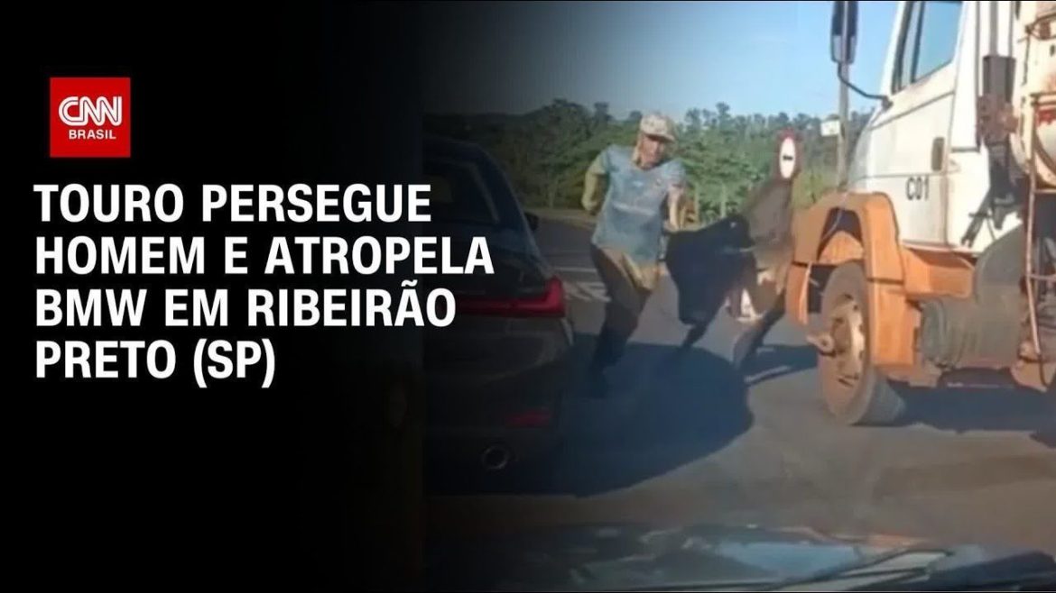 bmw-“atropelada”-por-touro-no-interior-de-sp-tem-perda-total
