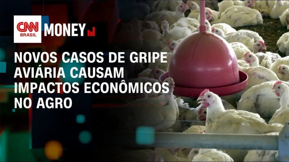 veja-onde-estao-localizados-os-4-casos-com-suspeita-de-gripe-aviaria