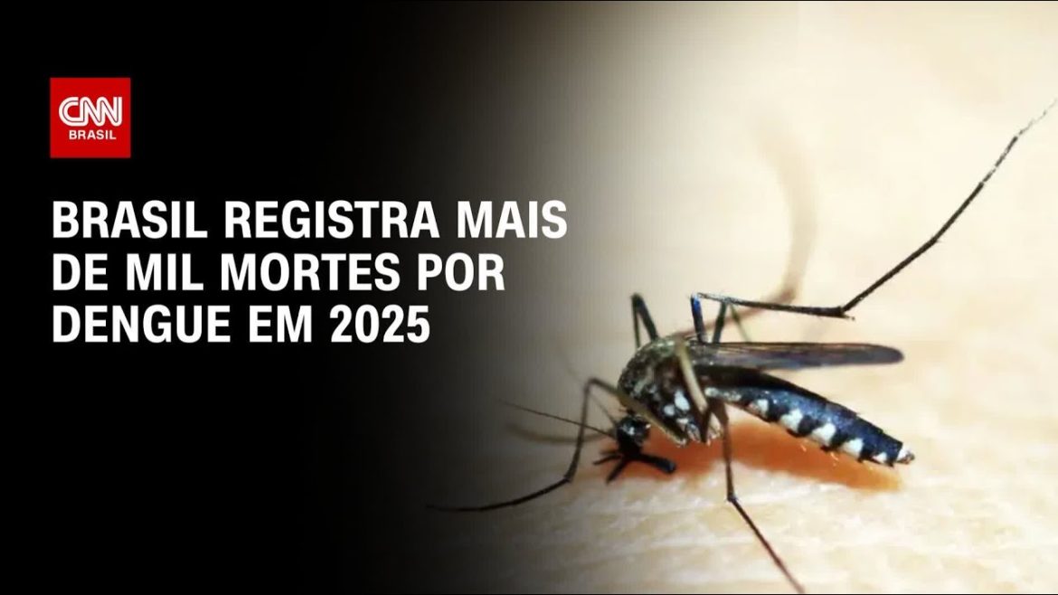 brasil-ultrapassa-mil-mortes-por-dengue-em-2025