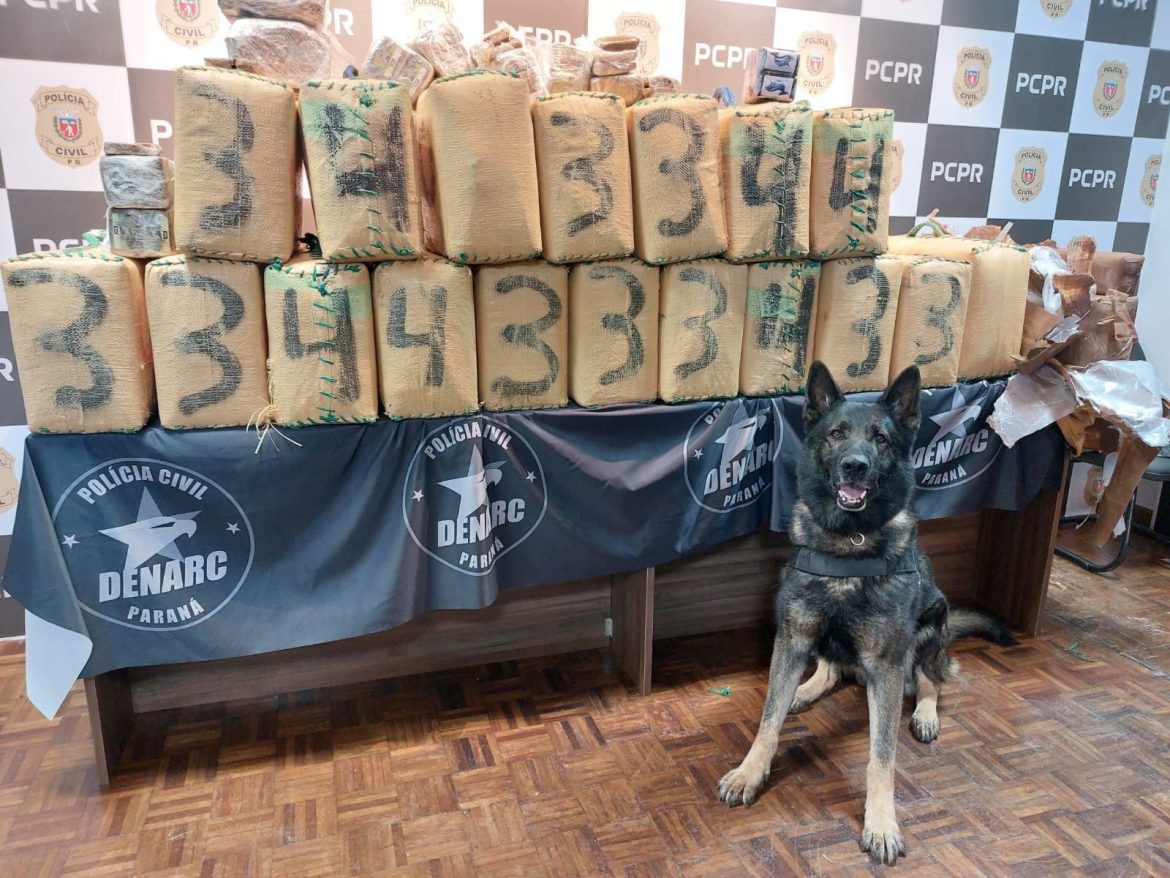 policia-civil-realiza-maior-apreensao-de-haxixe-da-historia-do-parana