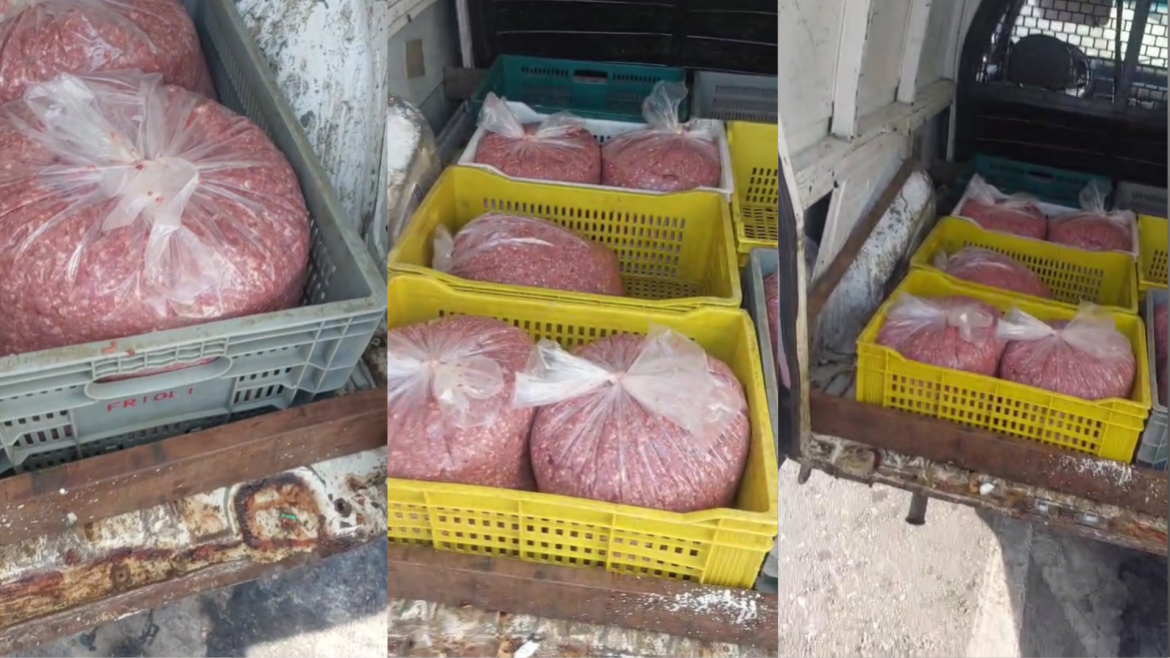carro-atolado-com-140-kg-de-carne-moida-estragada-e-apreendido-em-bh
