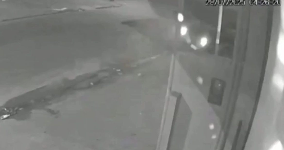 motorista-morre-apos-caminhonete-colidir-com-onibus-em-sao-luis;-veja