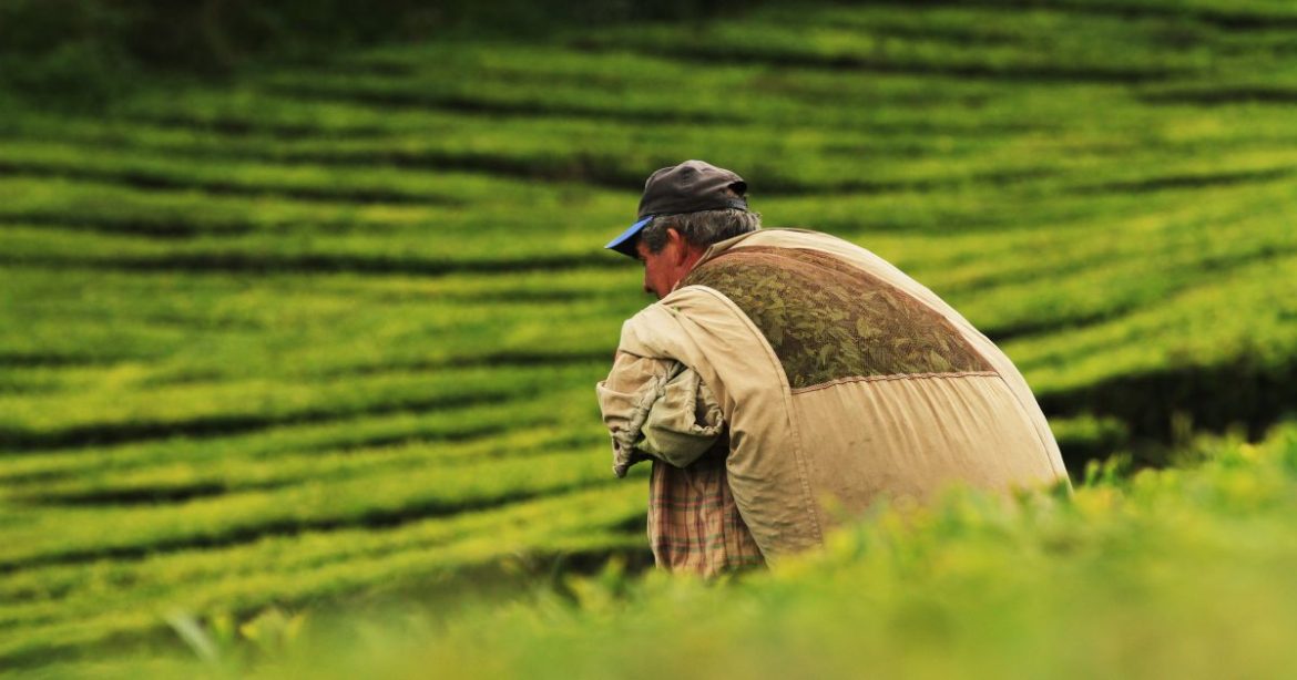 agro-ve-que-influencia-dos-eua-cria-incerteza-para-2026