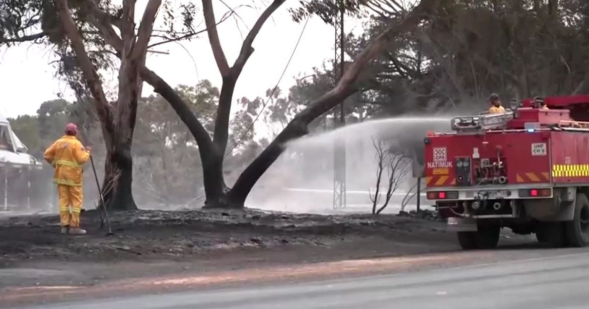 calor-na-australia-piora-incendios-florestais;-temperaturas-chegam-a-48 °c
