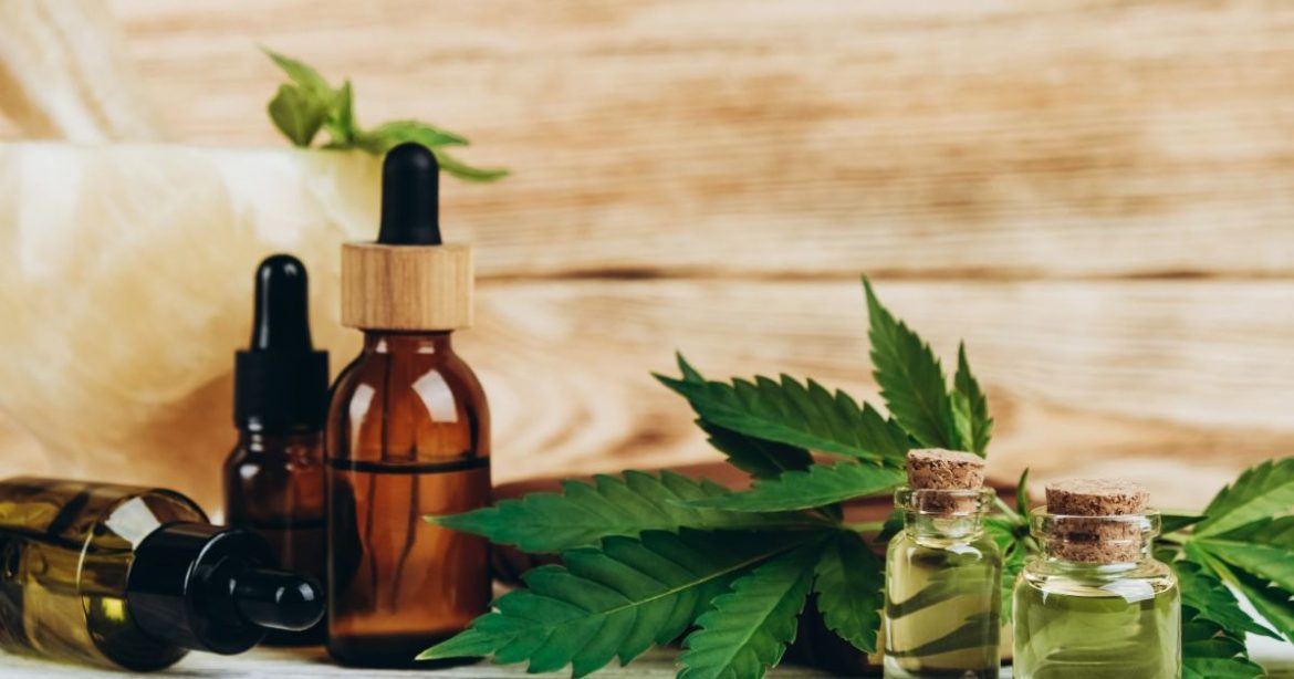 anvisa-publica-regras-para-o-cultivo-de-cannabis-no-brasil;-veja-quais-sao