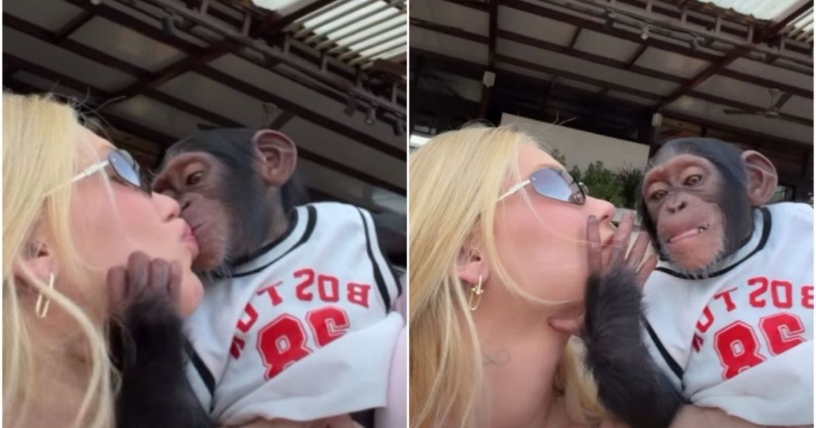 video-de-virginia-beijando-macaco-vira-alvo-de-racismo-contra-vini-jr.