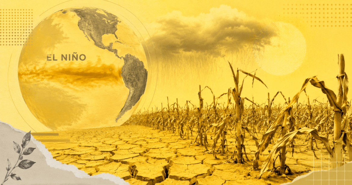el-nino-pode-ser-o-mais-forte-desde-1950;-entenda-efeitos-no-agro