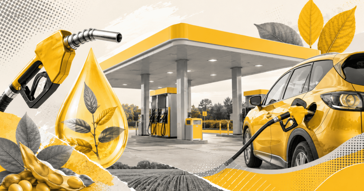 etanol-garante-economia-de-quase-r$-80-por-tanque
