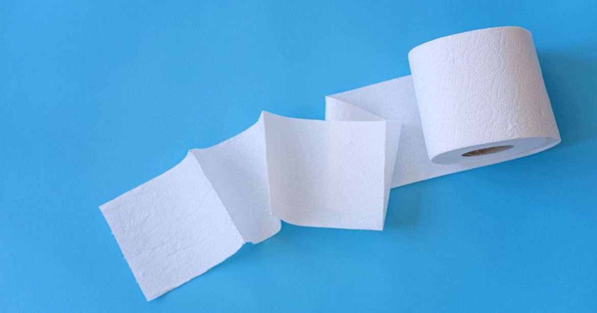 colocar-um-rolo-de-papel-higienico-na-geladeira:-para-que-serve-e-por-que-recomendam-fazer-isso